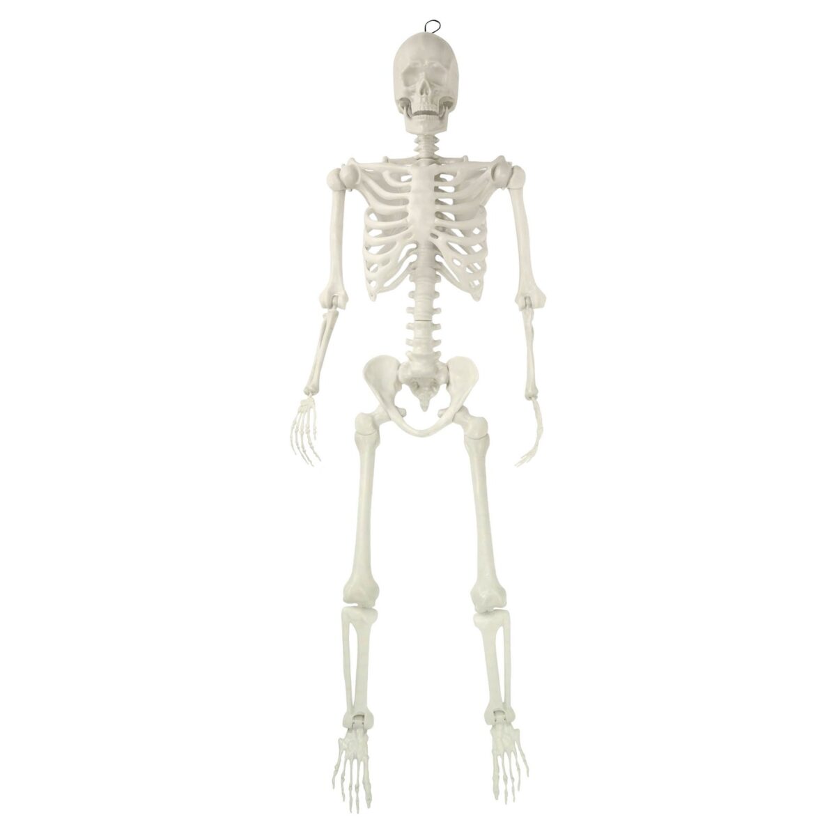 Hanging Posable Skeleton Decoration, White, 5', Halloween by Way To Celebrate