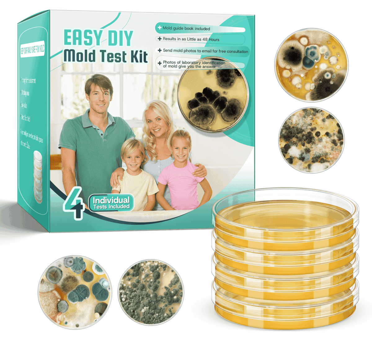 Nurforta Mold Test Kit for Home Detection: 4 Simple DIY Science Kits for Fastly Testing Home